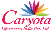 Caryota labs